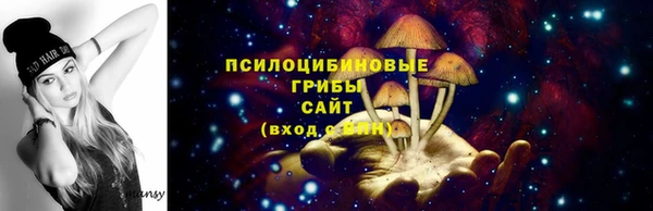 тгк Аркадак