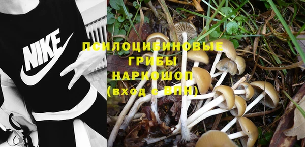 тгк Аркадак