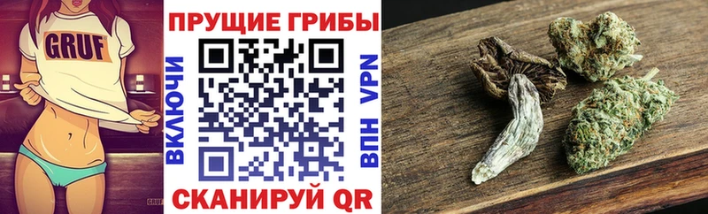 где купить наркотик  Переславль-Залесский  Галлюциногенные грибы мухоморы 